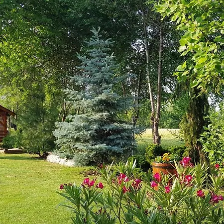 Vakantiehuis Majer Biffar