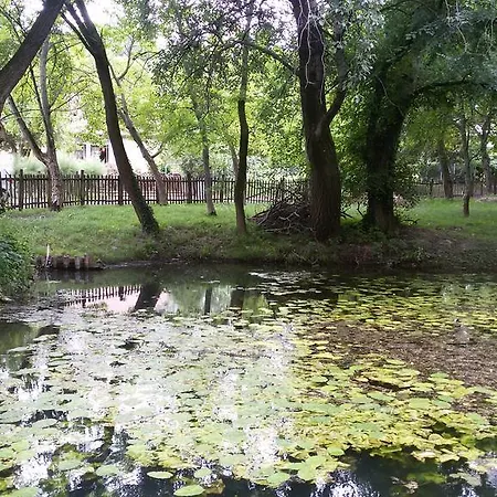 Majer Biffar Vakantiehuis