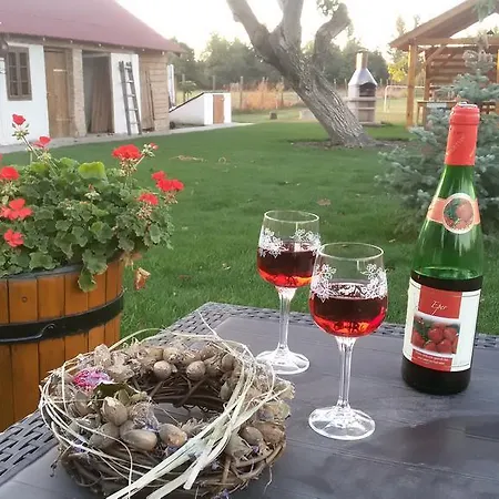 Vakantiehuis Majer Biffar *