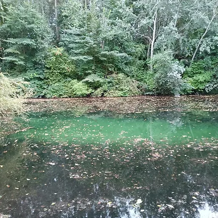 Casa vacanze Majer Biffar *