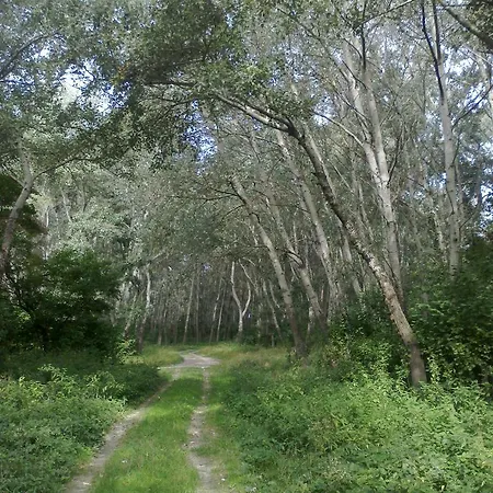 Majer Biffar Casa vacanze