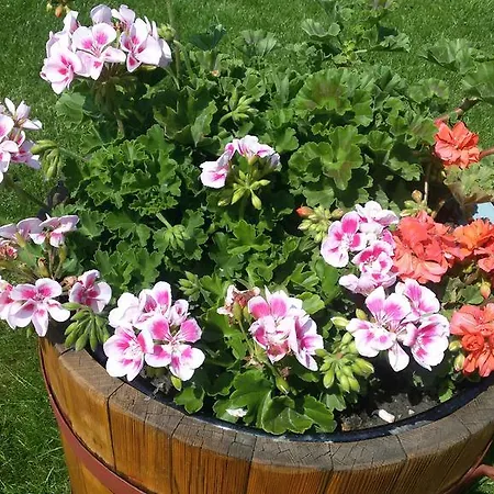 Casa vacanze Majer Biffar Dunajský Klátov