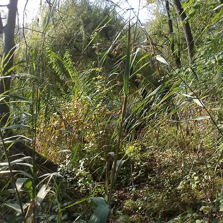 Majer Biffar Casa vacanze Dunajský Klátov