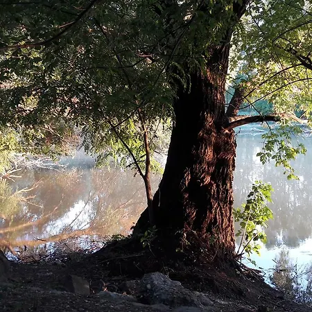 Majer Biffar Casa vacanze *